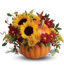 <b>Country Pumpkin</b> from Scott's House of Flowers in Lawton, OK